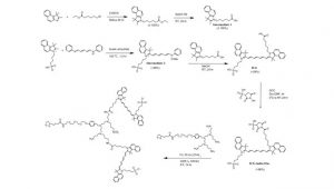 formulas